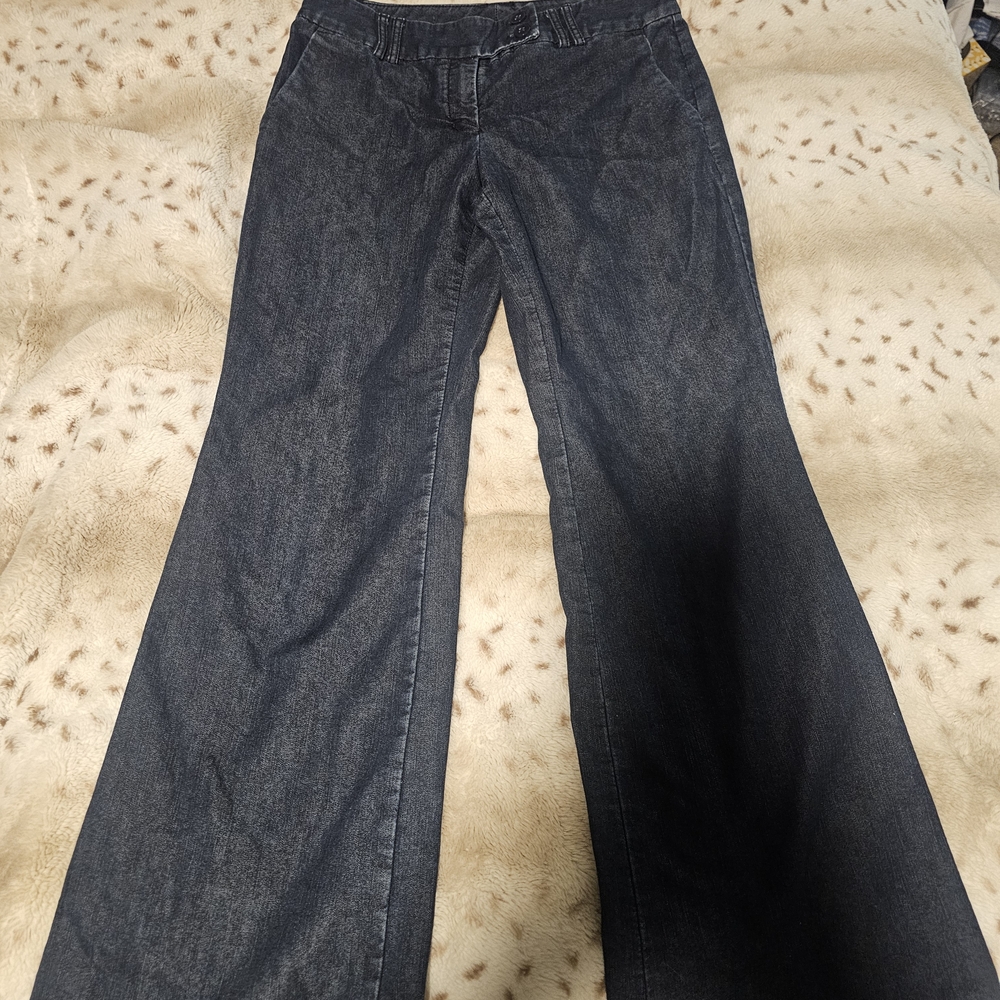 Express Navy Flare Jeans